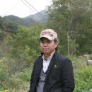 이창주 카카오 검색결과