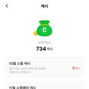 보카코드