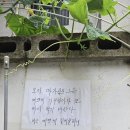 미라클;인 네이버블로그