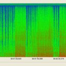 ﻿432Hz 치유의 파동 : 숲에서 음악을 꺼야하는 이유 이미지