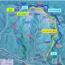 (테마)2026년 6월 13일 토요일] 정선 백운산 하이원 하늘길 데이지 야생화 천국 산행안내 이미지