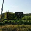 블루베리사슴농장 이미지