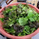 버들 소갈비살 전문점 이미지