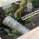 노아미용실 | 당산역미용실 애쉬브라운 염색 잘하는곳 온리포유 당산점 노아원장님 디자인컷 후기