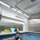 엉클베어스윔앤피티 이미지