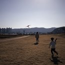 낙동강변17 이미지