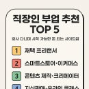 위너스펫 | 회사 다니면서 가능한 부업 추천 TOP5