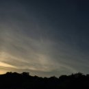 해뜨는장 이미지