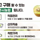 제주한라유통
