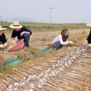 남해-300 이미지