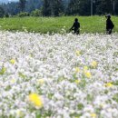 새벽아침농장 이미지