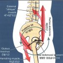 헤이데이 이미지