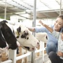 대두목장 이미지