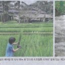 미각푸드 - 47143 | 미각푸드