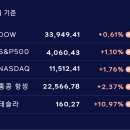 다이브11 이미지