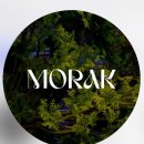 역삼-1334 이미지