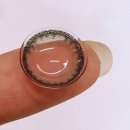 그레잇콘택트 이미지