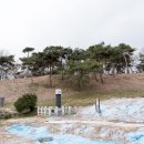 테뫼산성 | 세종 여행지 추천 기호서사 임씨가묘