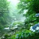 선기로2-7 이미지