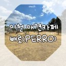 이천 애견카페 빼로(Cafe.PERRO), 탁 트인 뷰의 신상카페