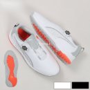 에이스 캣 이미지