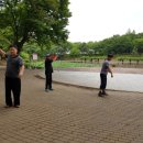 태극힐링 이미지