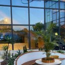 리베르테 이미지