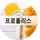 건강장수식품 네이버블로그