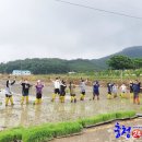 김흥수농장 이미지