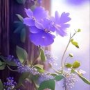 은혜 이미지