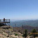 개굴개굴 이미지