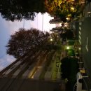 11650-1-10-705 | 매장에서 쇼핑 한 Mokki Mini - 에보니 텍스처드,Cyme Mini - 레드 클레이 텍스처드 총 가방2개 사용후기