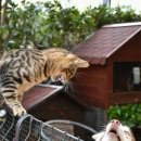 (주)아토미디어 이미지