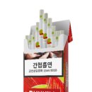 슬림파인