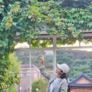 읍사무소(실내) 네이버블로그