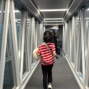 골드엔터테이먼트 | 골드코스트 모녀여행 대한항공 인천-브리즈번 KE407 특별기내식 해산물식 아동식 좌석후기