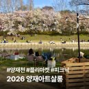 캐릭터 푸드아트 | 2026 양재천 아트살롱 후기 | 푸드트럭·플리마켓 정보 봄 주말 나들이로 추천