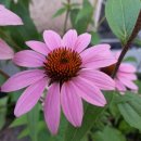 진맥잘보는한의원 이미지