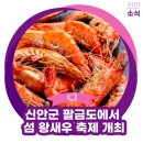 섬 왕새우축제 이미지