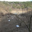 봉자농장 이미지