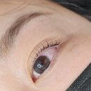 브리지데이 | [익산 속눈썹펌] 브리지데이 / 동산동 속눈썹펌 / 데일리 속눈썹펌 후기