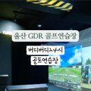 버디버디24시 네이버블로그