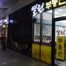 청실청과