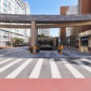 가온아리 이미지