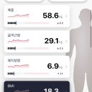 (주)펫풀 | 멸치의 헬스일기3 - 골격근량 29키로 돌파!