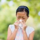 와이메디칼 이미지