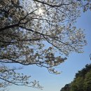 3.1운동 유공비 | [부산트레킹]부산외대 정문 ~ 범어사 대웅전 코스, 국립공원으로 정비된 금정산 힐링 로드