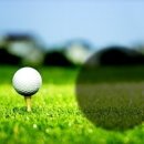 골프나인틴스크린골프 이미지