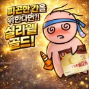 분당비타민약국 이미지