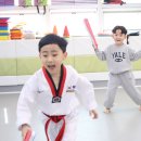메트로자연유치원 이미지